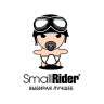 Small Rider (страница 2)